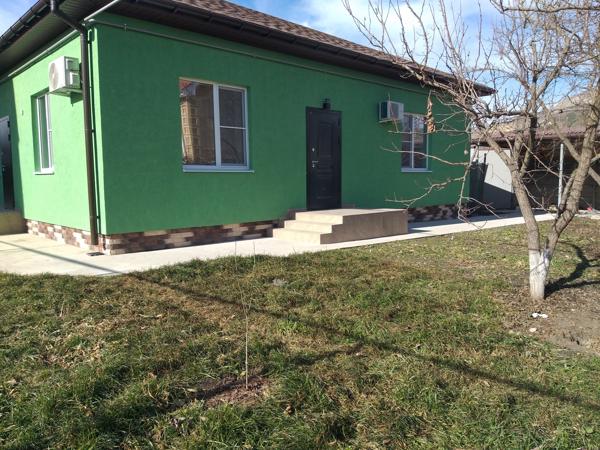 Можжевельник средний